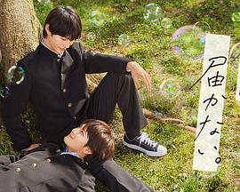 重庆南川seo优化方案